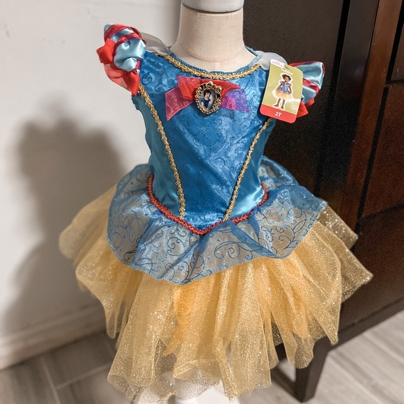 Disney Other - Disney princess costume